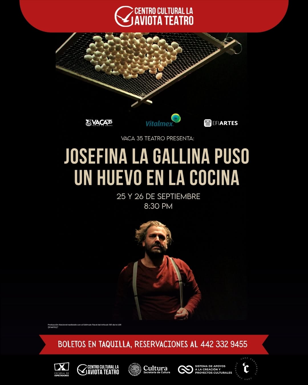 Cartel de Josefina la gallina puso un huevo en la cocina
